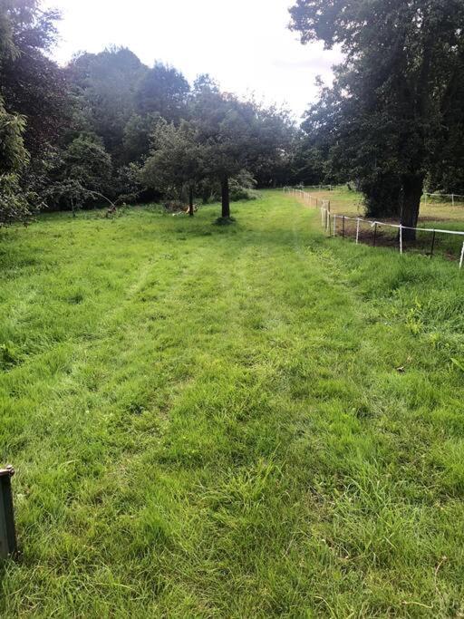 La Foret Auvray - Maison De Campagne Putanges Eksteriør billede